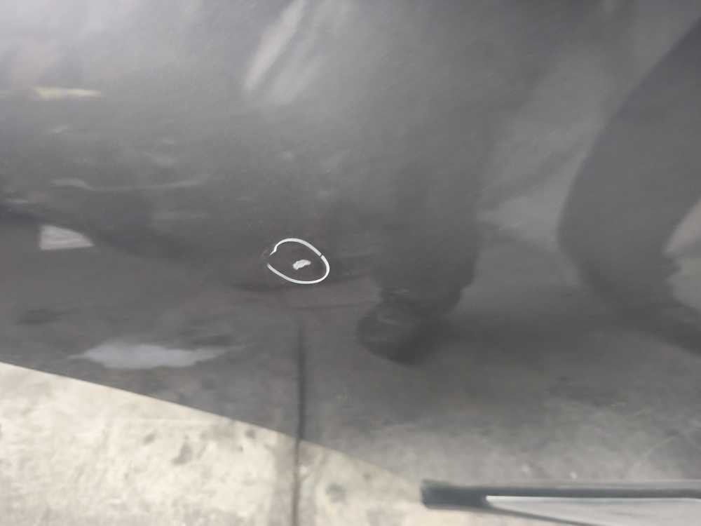 PORTE ARRIERE DROIT RENAULT - Vue 3